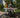 Bugaboo Dragonfly The Perfect Stroller for Your Newborn