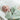 Granny Ben Sweet Dream Micro Tencel™ Comforter Mood 2