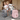 Lassig Trolley - Safari กระเป๋าเดินทางล้อลาก ซาฟารี
