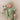Saeson Head-to-Toe Knit Set