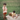 Saeson Little Wanderer Bloomer Mood 2