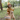Saeson The Naturenest Dungaree Mood 1