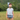 Saeson The Pixie Hat Mood 1