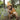 Saeson The Pixie Hat Mood 4